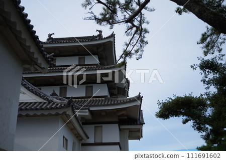 Takamatsu Castle is a castle ruins located in Kagawa Prefecture, Shikoku, Japan. Tamamo Park. 111691602