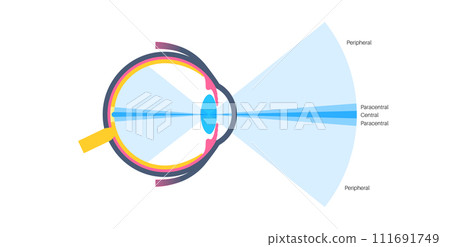 Peripheral vision poster Peripheral vision poster 111691749