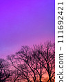 樹木的輪廓和生動的紫色漸層天空 111692421