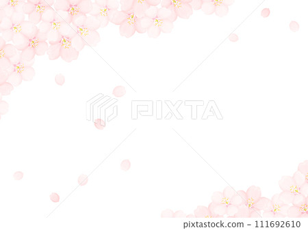 Cherry Blossom	 111692610