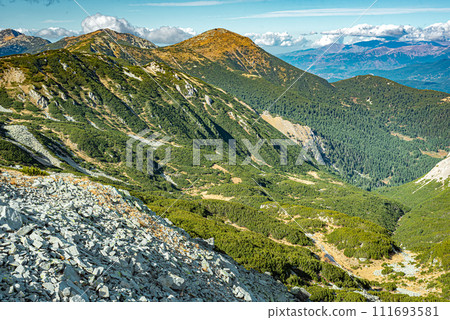 View of the valley from a mountain pass in the Pirin Mountains, Bulgaria 111693581