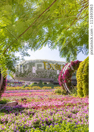 迪拜奇蹟花園 111693963