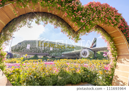 Dubai Miracle Garden 111693964