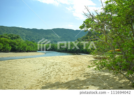 紅樹林和河流 111694042