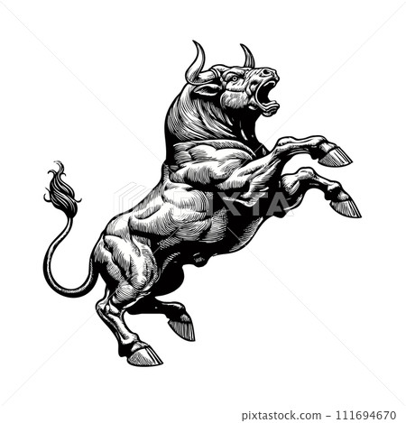 Vintage engraving of exciting bull isolated on white BG Vintage engraving of exciting bull isolated on white BG 111694670