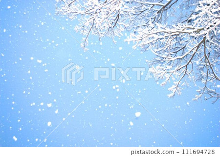 snow falling on frost-covered trees snow falling on frost-covered trees 111694728