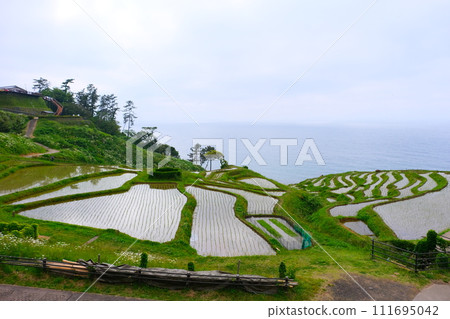 能登半島城目千枚田 2023 年 5 月 20 日 能登半島城目千枚田 2023 年 5 月 20 日 111695042