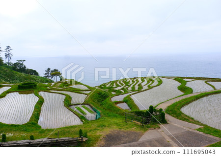 能登半島城目千枚田 2023 年 5 月 20 日 能登半島城目千枚田 2023 年 5 月 20 日 111695043
