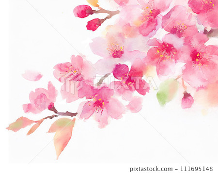Beautiful watercolor cherry blossom branch 2 (generated AI) 111695148