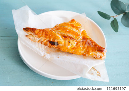 homemade meat pie homemade meat pie 111695197