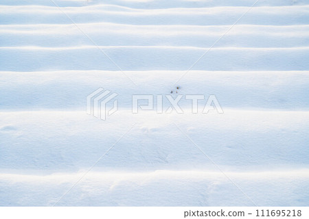 Pattern of ridges on a snowy day 111695218