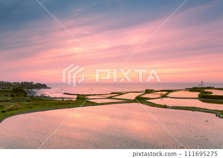 Evening landscape of rice terraces Evening landscape of rice terraces 111695275