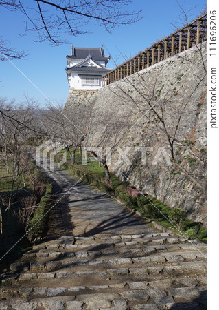岡山縣津山市賞櫻百選之一的鶴山公園(鶴山城):冬天的景色 岡山縣津山市賞櫻百選之一的鶴山公園(鶴山城):冬天的景色 111696206