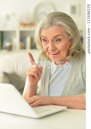 Beautiful senior woman using laptop at home 111696528