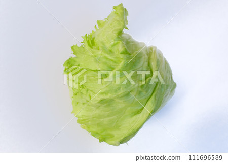 Lettuce photographed on a white background 111696589