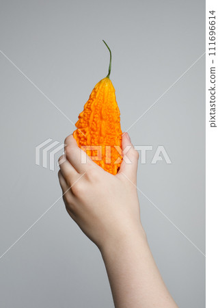 Orange Bitter melon or Momordica charantia in human hand on white background Orange Bitter melon or Momordica charantia in human hand on white background 111696614