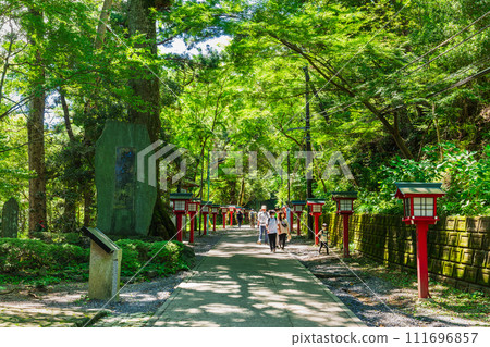 Takao Mountain Trail 111696857