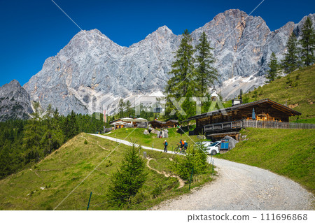 Alpine rural road on the slope near wooden houses, Austria 111696868