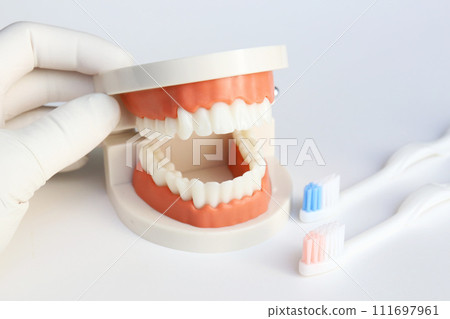 醫學影像牙科治療 醫學影像牙科治療 111697961
