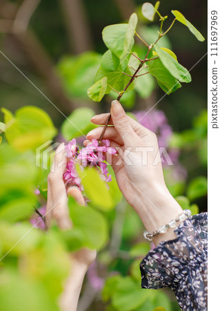 Close up of young, slim female touching, holding tree blossom by hands, wearing stylish clothes. Concept of springtime Close up of young, slim female touching, holding tree blossom by hands, wearing stylish clothes. Concept of springtime 111697969