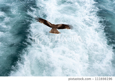 Flying to the sea 111698196