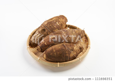 Bamboo shoots on white background Bamboo shoots on white background 111698351