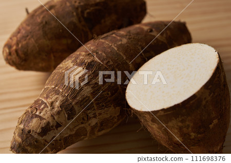 竹筍圖片 竹筍圖片 111698376