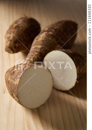 Bamboo shoots image Bamboo shoots image 111698385