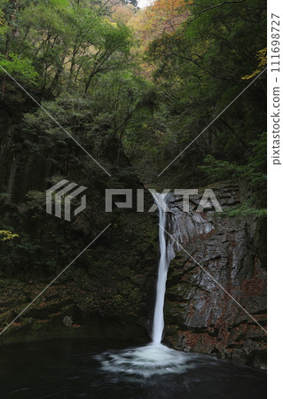 紅眼Shimpaki瀑布布料秋天 111698727