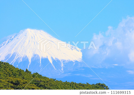 靜岡縣靜岡市三保松原和富士山的風景 111699315