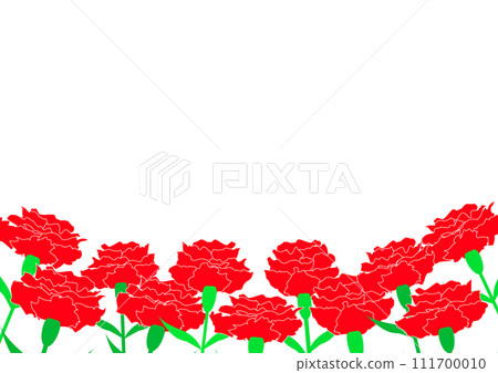 Mother's Day carnation background material Mother's Day carnation background material 111700010