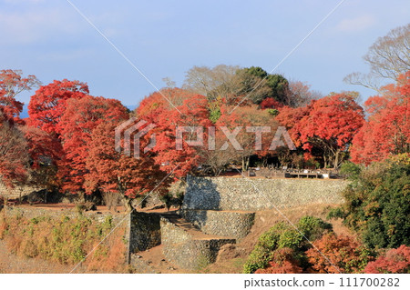 Autumn leaves of the castle site Autumn leaves of the castle site 111700282