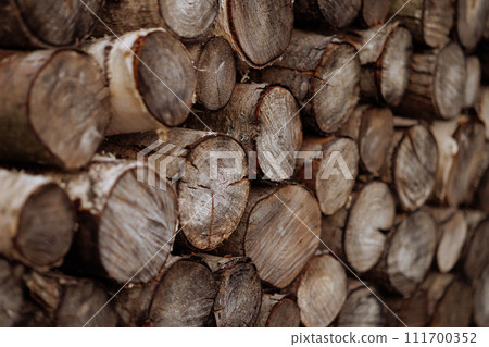 Cross section of tree trunks, timber background.  111700352