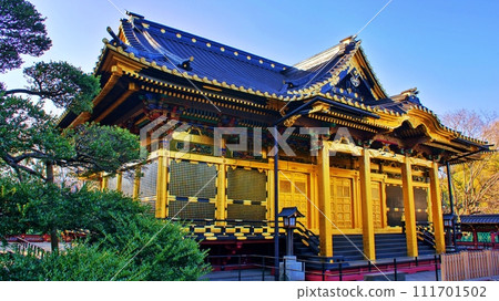 Ueno Toshogu Landscape 111701502