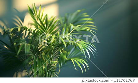 Tranquil green indoor palm leaves bathed in sunlight. home decor and natural elements in urban spaces. refreshing botanical environment. AI Tranquil green indoor palm leaves bathed in sunlight. home decor and natural elements in urban spaces. refreshing botanical environment. AI 111701767