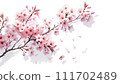 cherry blossom season 2 111702489