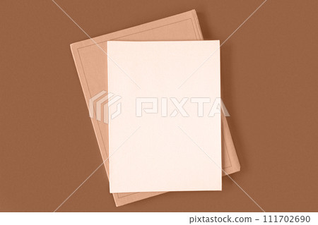 Blank greeting card, invitation mockup. Dry grass, pampas plant on beige table background. Flat lay, top view. Copyspace. Paper cards, mock up. Modern Minimal business brand template. Soft shadow. A6 111702690