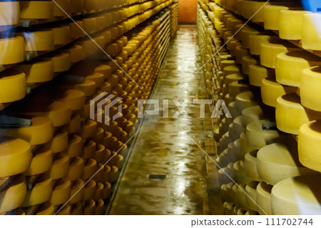 Cheese dairy plant warehouse with shelves stacked with rows of cheese Cheese dairy plant warehouse with shelves stacked with rows of cheese 111702744