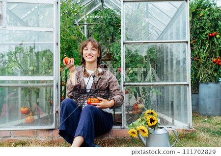 Young smiling woman holding harvest of ripe red beef tomatoes, just picked in green house. Urban farming lifestyle. Cottage core. Growing organic vegetables in garden. Concept of food self-sufficiency 111702829