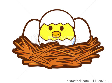 Newborn baby bird in the bird's nest Newborn baby bird in the bird's nest 111702999
