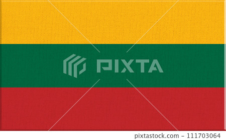 Flag of Lithuania. Lithuanian state symbol. Flag illustration 111703064