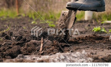 agriculture, farmer dripping soil foot rubber boots, ground, earth business, worker digs fertile soil shovel, ecological vegetable growing, agricultural business, shovel tool, close-up, shovel digging agriculture, farmer dripping soil foot rubber boots, ground, earth business, worker digs fertile soil shovel, ecological vegetable growing, agricultural business, shovel tool, close-up, shovel digging 111703780