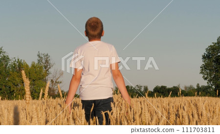Teen boy male kid walking at dry wheat field touching stems relaxing enjoy freedom back view closeup. Active teenager going at rye meadow natural landscape with forest tree sky horizon outdoor leisure 111703811