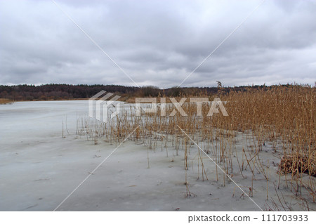 Landscape with winter river. The Sketch growing in river. Sketch on river ice 111703933
