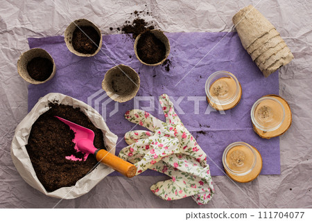 Planting seedlings of tomato 111704077