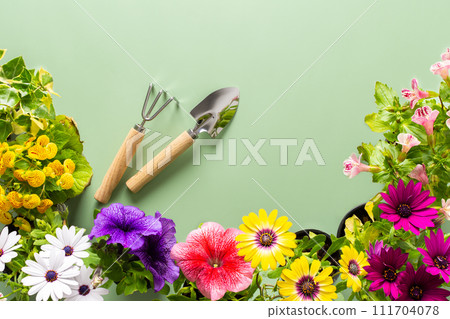 Flowers on a green background 111704078