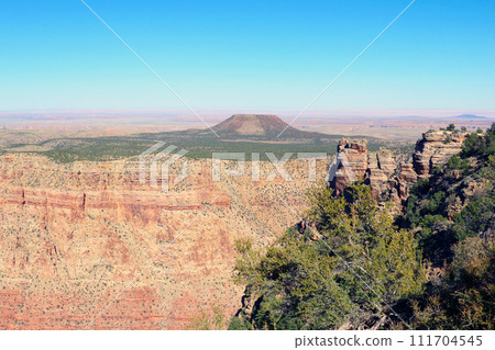 Majestic View of the Grand Canyon 111704545