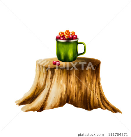 Watercolor illlustration with composition of cloudberry, lingonberry, cranberry and cowberry in metal green cup on a wooden stump. Juicy summer composition isolated on white background. Clip art for Watercolor illlustration with composition of cloudberry, lingonberry, cranberry and cowberry in metal green cup on a wooden stump. Juicy summer composition isolated on white background. Clip art for 111704571