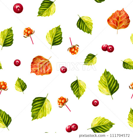 Watercolor seamless pattern with forest berries lingonberry, cranberry and cowberry, cloudberry illlustration. Juicy red berries and green leaf isolated on white background. Clip art for designers, Watercolor seamless pattern with forest berries lingonberry, cranberry and cowberry, cloudberry illlustration. Juicy red berries and green leaf isolated on white background. Clip art for designers, 111704572