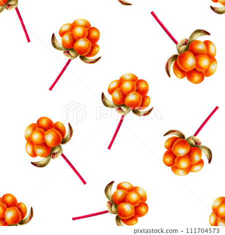 Watercolor seamless pattern with northern forest berry cloudberry illlustrations. Juicy orange berry isolated on background. Clip art for designers, travel business, postcards, scrapbooking, covers, 111704573